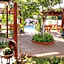 Alba Family Club Hotel