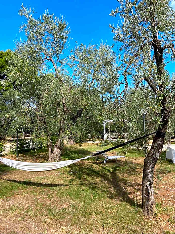 Residence Alba