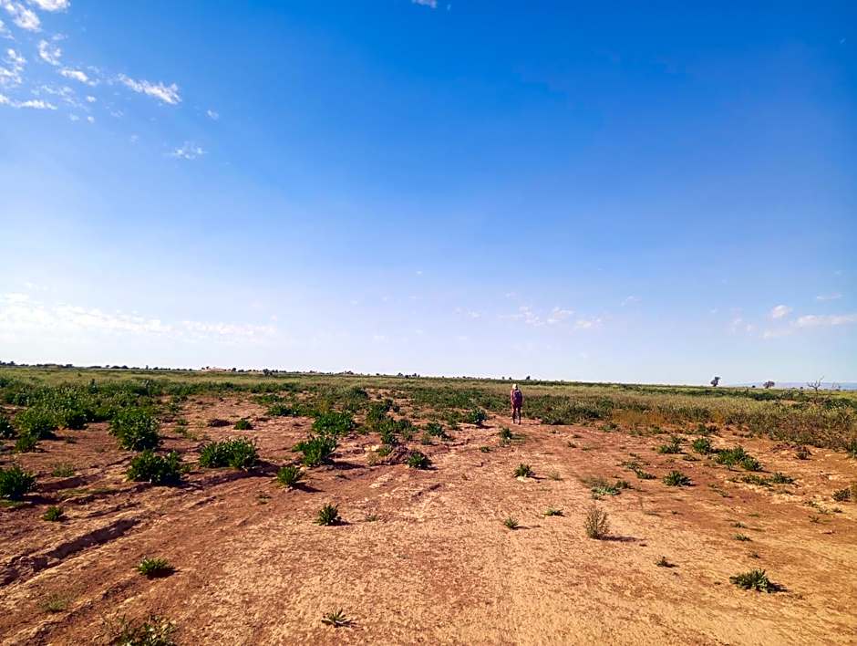 Bivouac beauté du désert