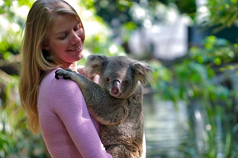 Martinique On Macrossan