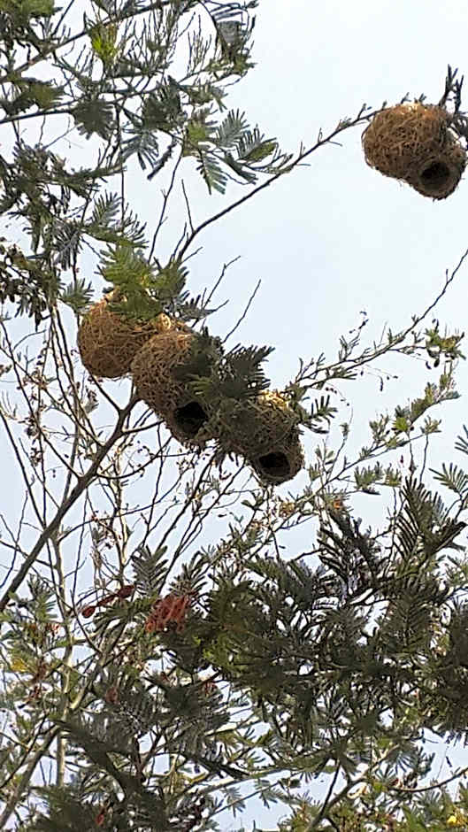 Eagle Nest Luxury Accommodation