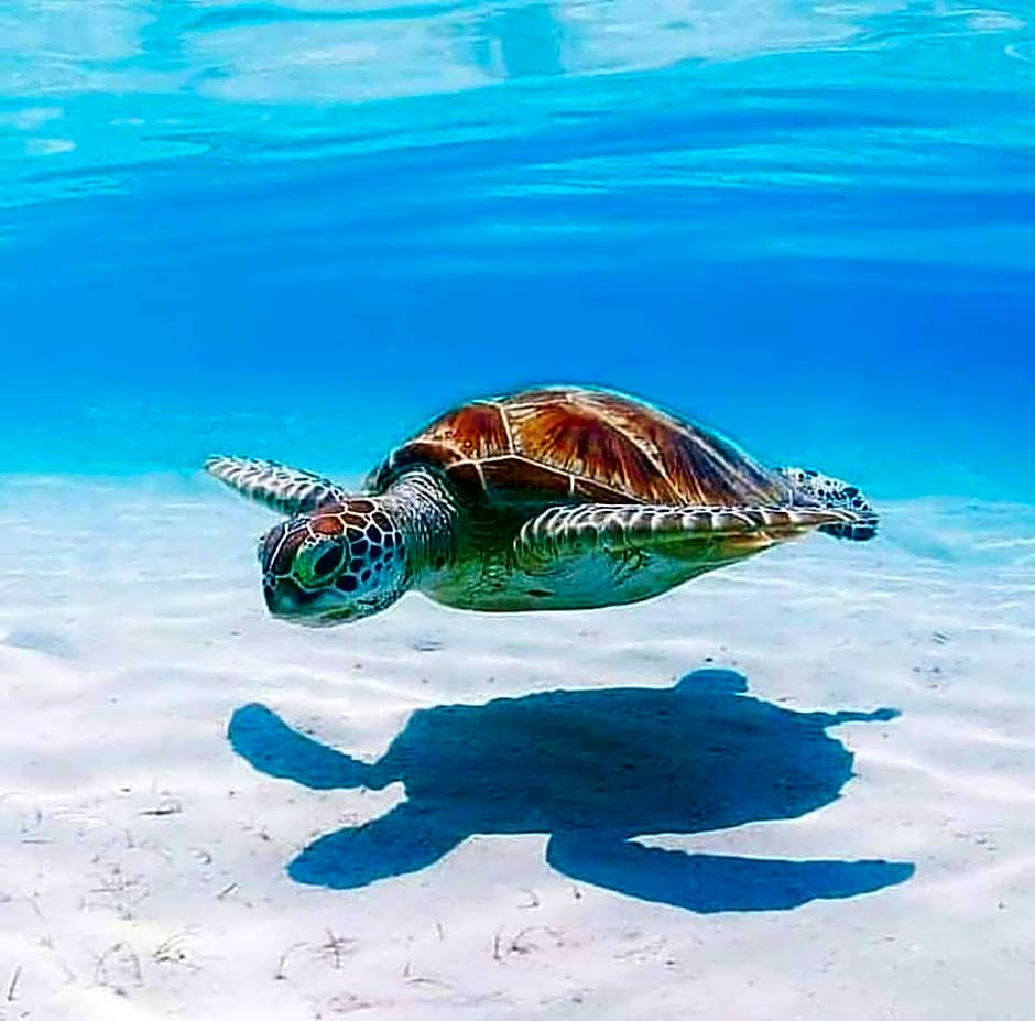 Chalé Recanto dos Anjos Arraial do Cabo