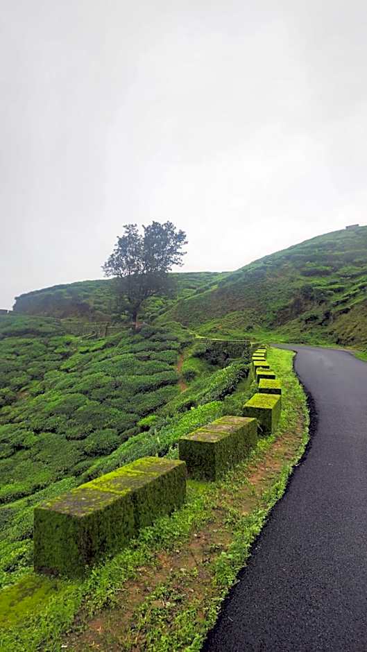 Ibex Resorts, Valparai Mistly