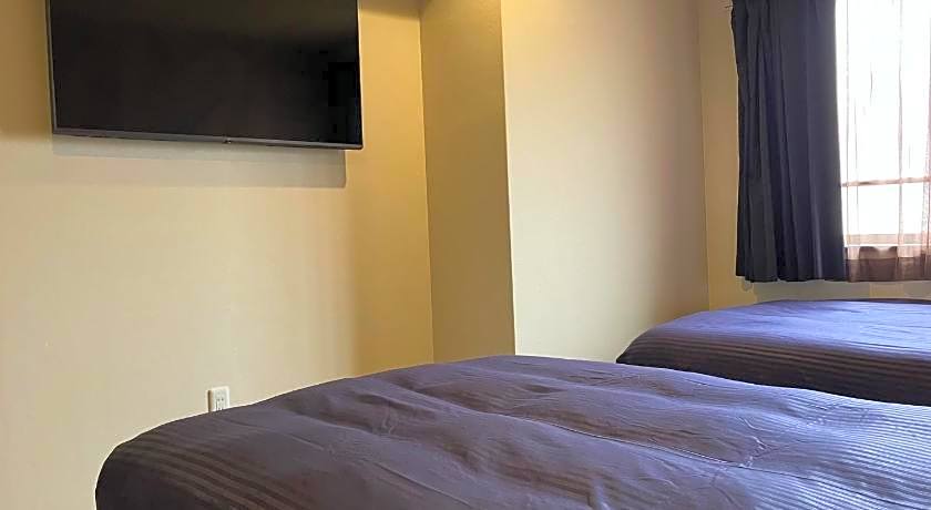 Hotel Livemax Budget Umeda