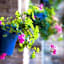 Villa Conmigo Bed & Breakfast