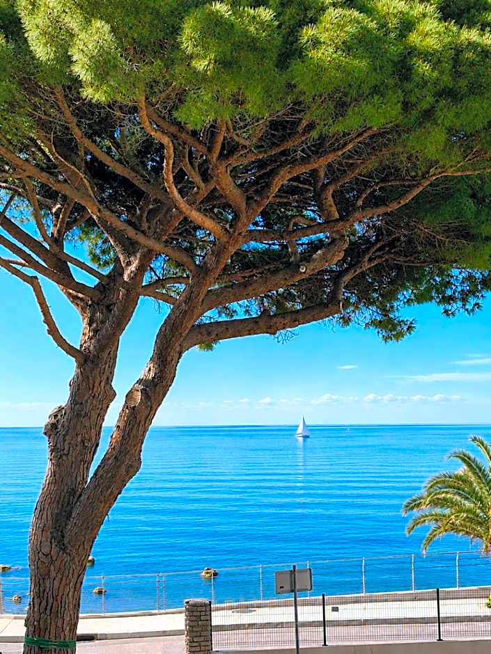 Hotel VTF Clairefont - Bandol