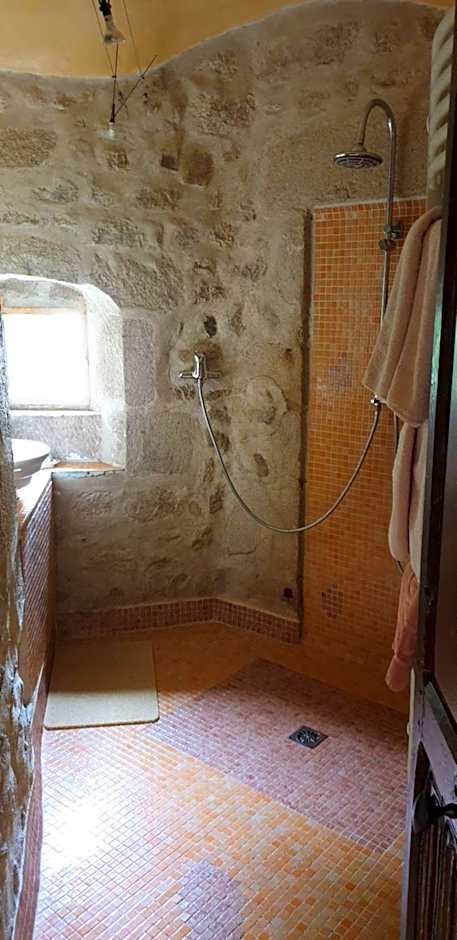 Château des Martinanches