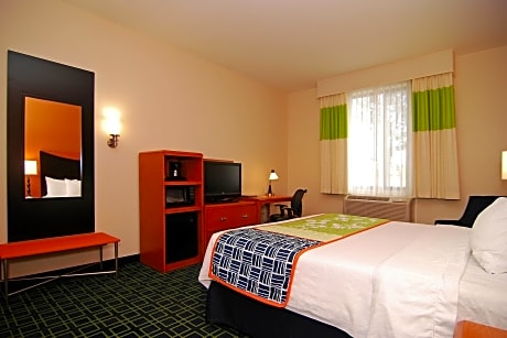 Studio, 1 King Bed with Sofa bed (1 King Bed and 1 Double Sofa Bed)