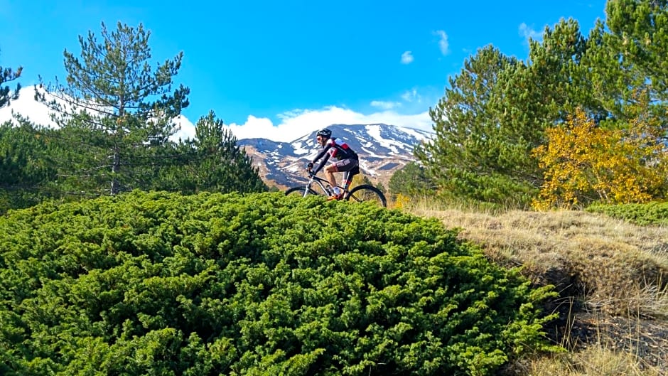 Etna Bike Holiday
