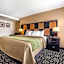 Comfort Inn Ballard-Roosevelt