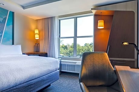 Guest Room with King Bed