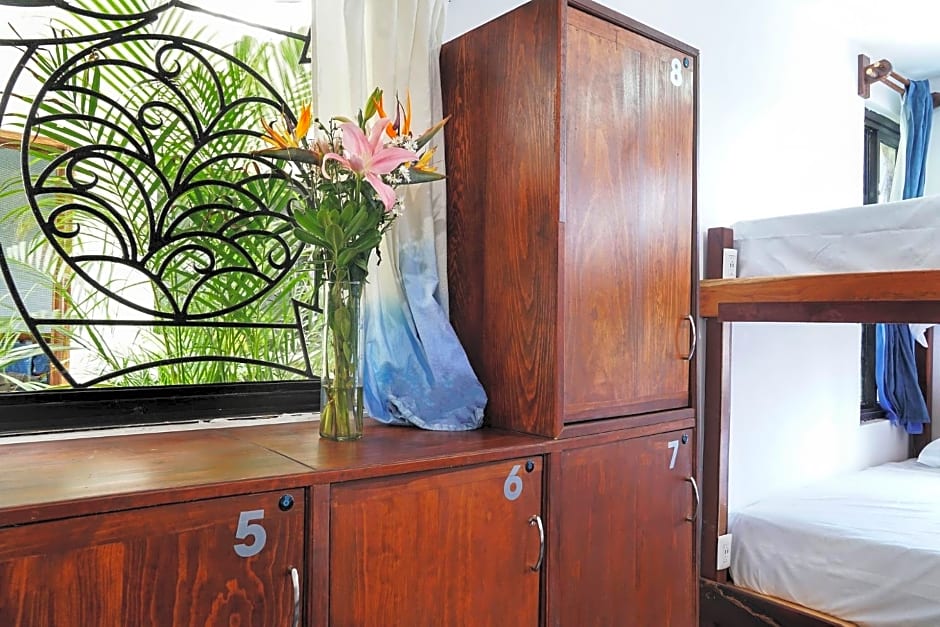 Red Panda Hostal