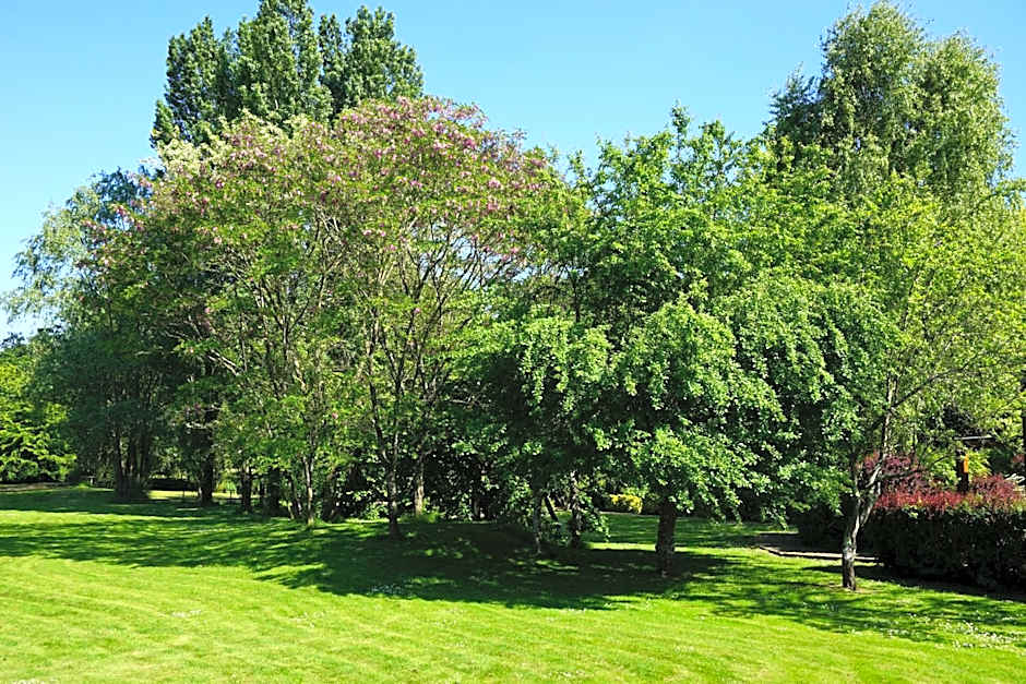Domaine de L'Arbrelle
