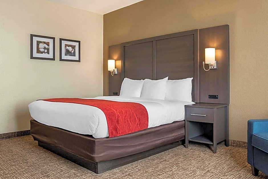 Comfort Inn & Suites Millbrook - Pratville