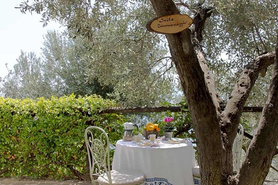 Villa Degli Ulivi B&B
