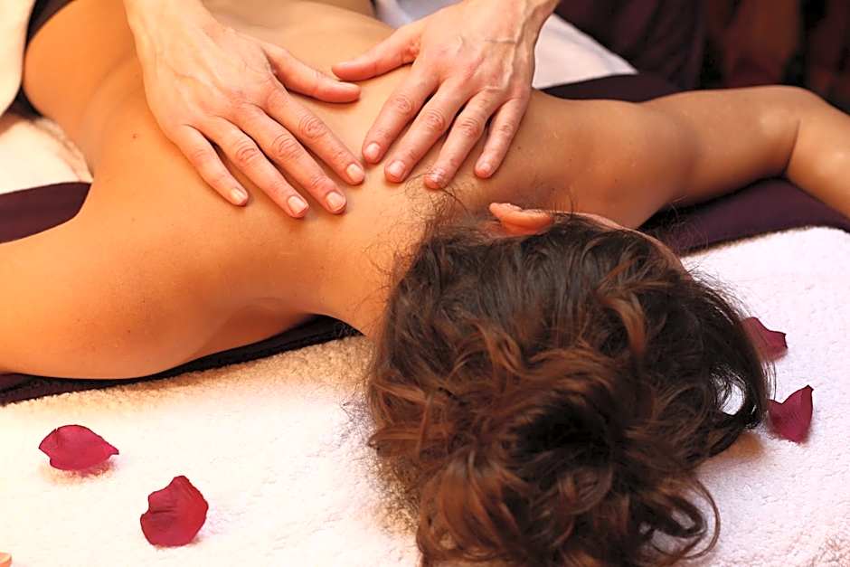 Hotel-Restaurant Spa Les Peupliers