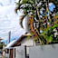 Maika'i Pousada
