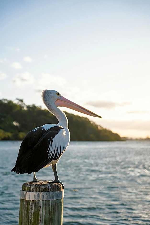 Culburra Beach Motel
