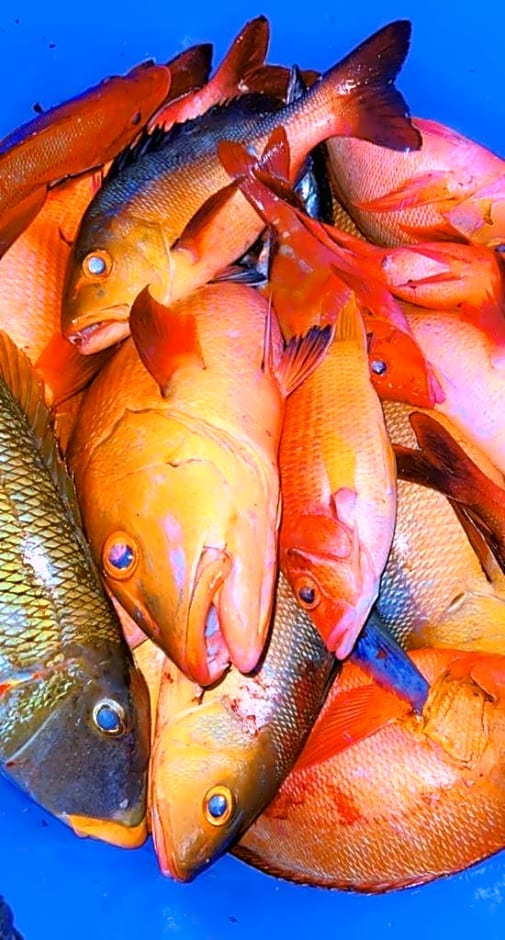 Raalhu Fonu Maldives