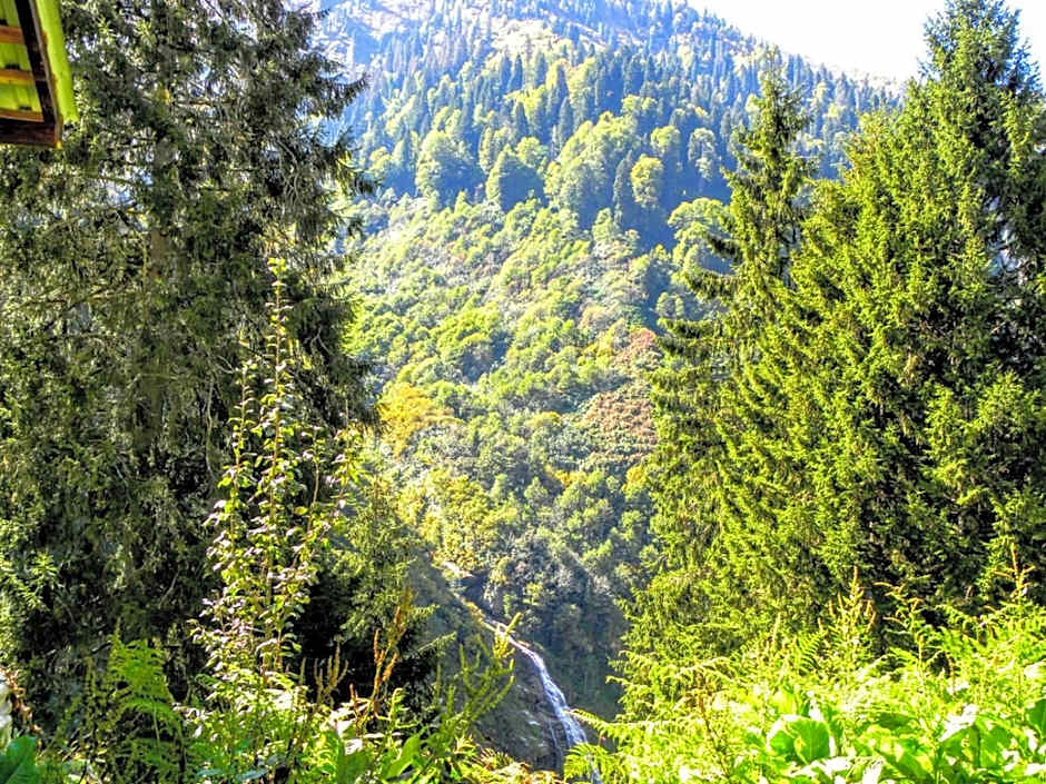 Ayder Şimşir Butik Otel