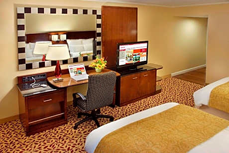Guest Room with One King or One Double Bed