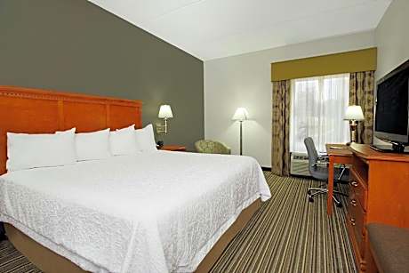 1 KING BED SUITE W SOFABED NONSMOKING HDTV/FREE WI-FI/SITTING AREA/FRIDGE/MICROWAVE WETBAR/