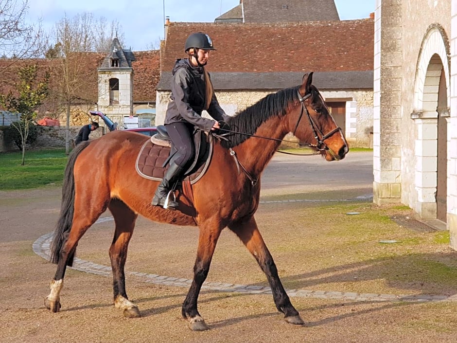 Chenonceau Amboise équitation beauval