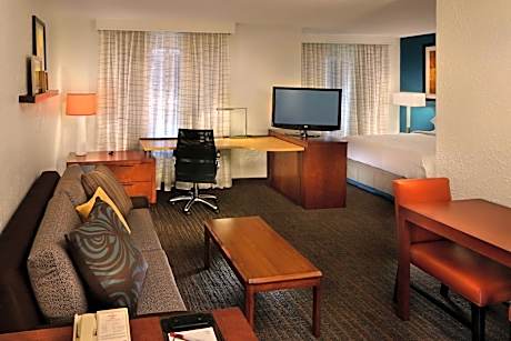 Studio, 1 Queen, Sofa bed, Fireplace