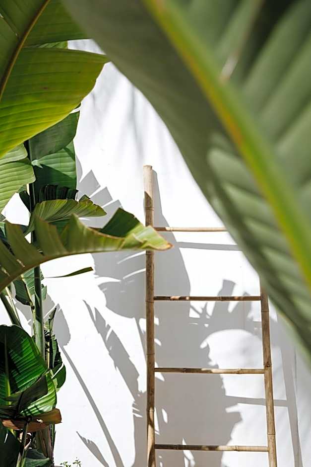 La Bohemia del Rio Boutique Hotel - Adults Only