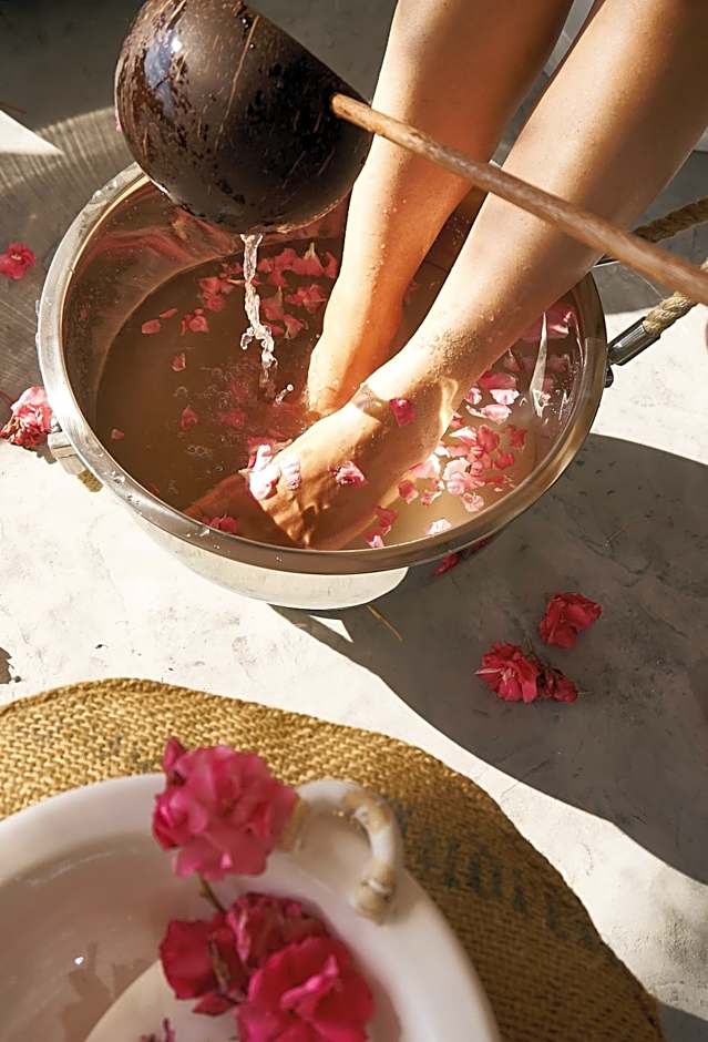 Aelia Wellness Retreat