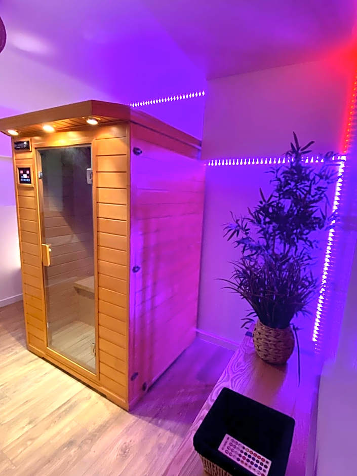COSY & SPA Appartement Luxe JACUZZI SAUNA Suite Cristal