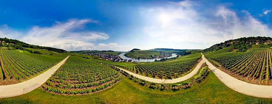 Weingut Matthias Dostert / Culinarium