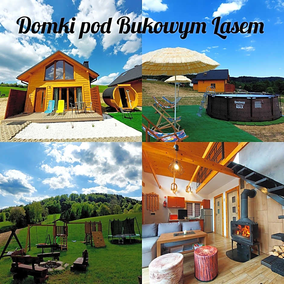 Domki pod Bukowym Lasem
