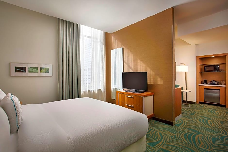 SpringHill Suites by Marriott Houston Downtown/Convention Center