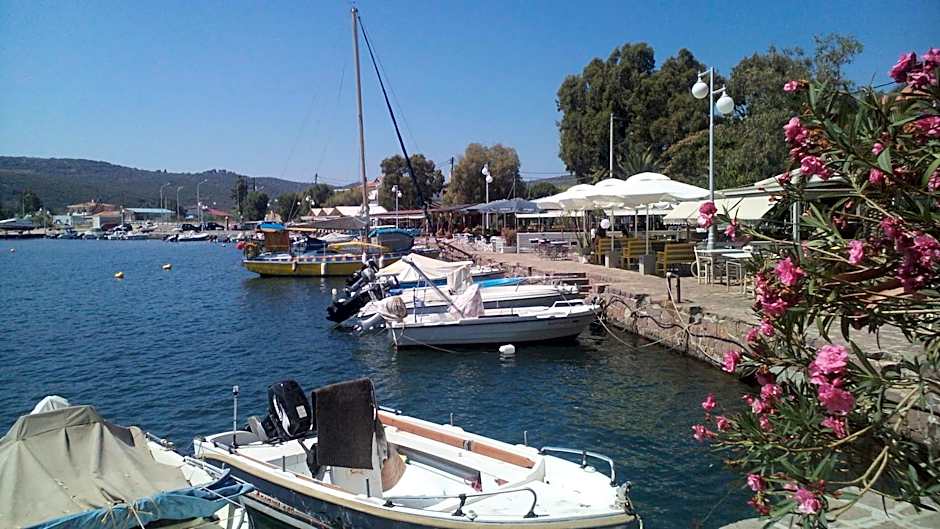 Studios Cosmopolitan