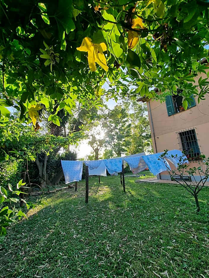 Escuelita Viva