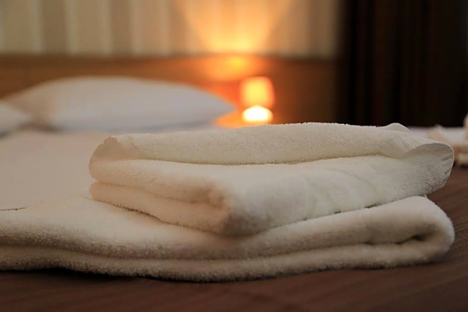 Hotel Muresul Health Spa