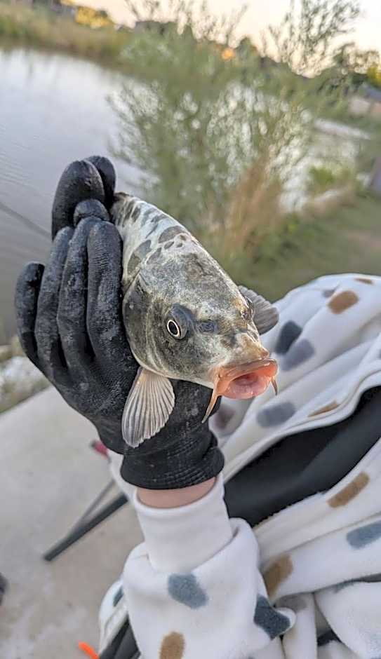 Lakeside Fishing Retreats