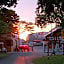 The Buffalo Amphawa