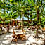 Mayan Monkey Isla Mujeres - Social Hotel