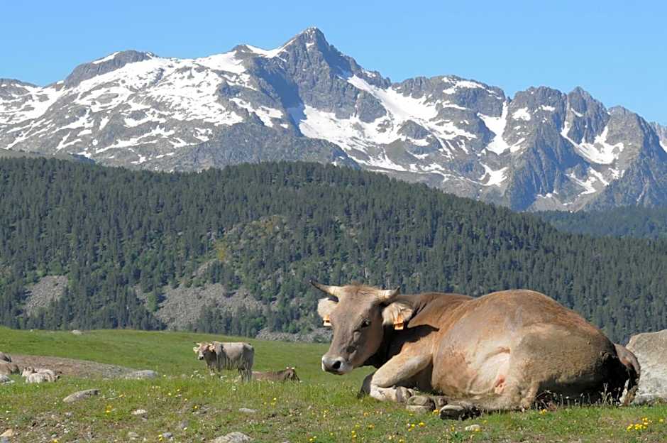 Aparthotel El Refugio de Aran Vielha