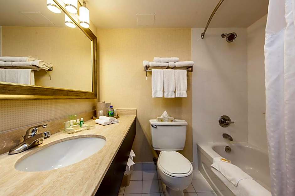 Holiday Inn Laval - Montreal