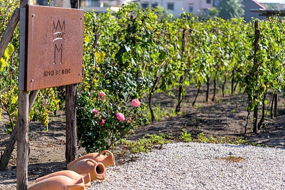 Resort & Winery Bosco De Medici