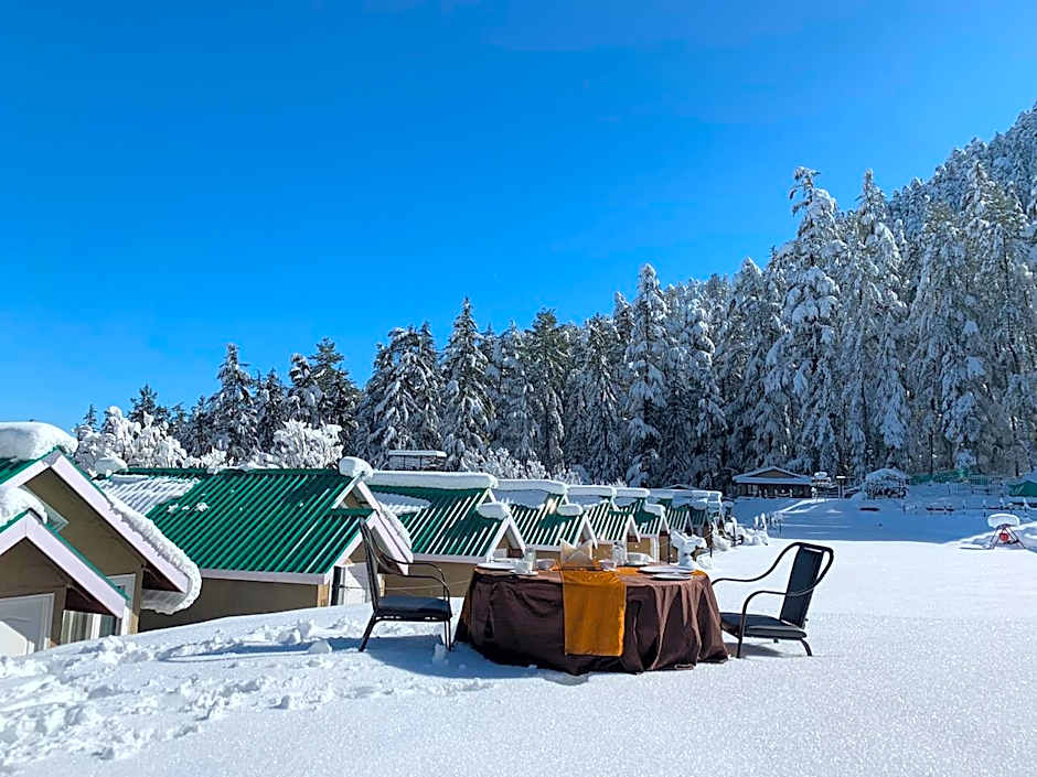 Mashobra Greens Shimla