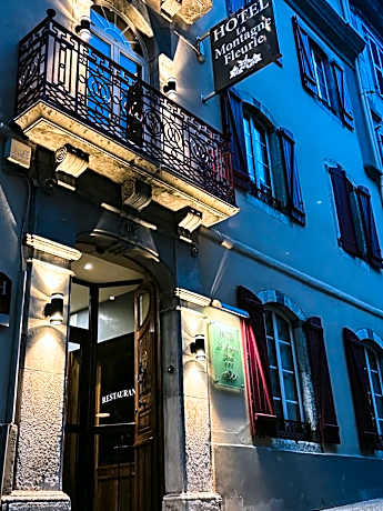 Hôtel La Montagne Fleurie