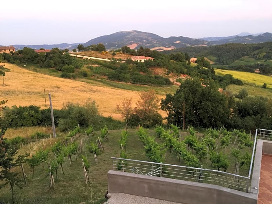 Green B&B Urbino Cá del vento