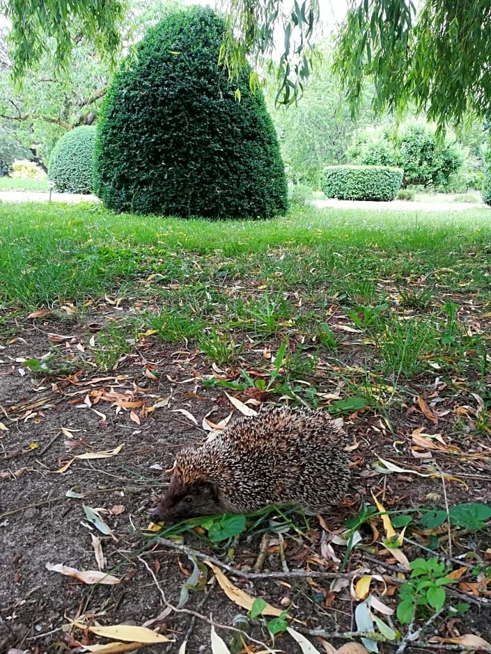 Maison Angulus Ridet