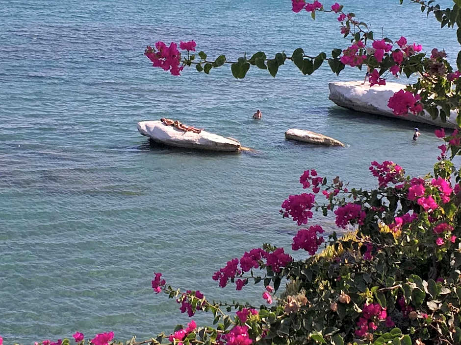 Stratos ArtDeco House