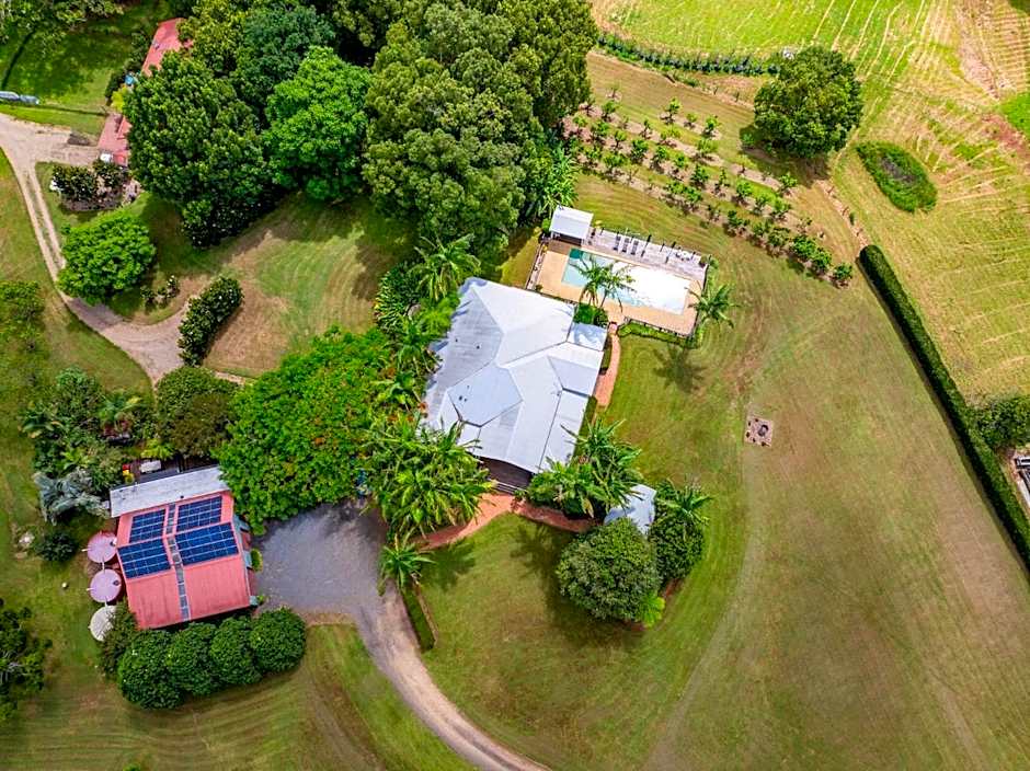 Cedia at Byron Bay Hinterland