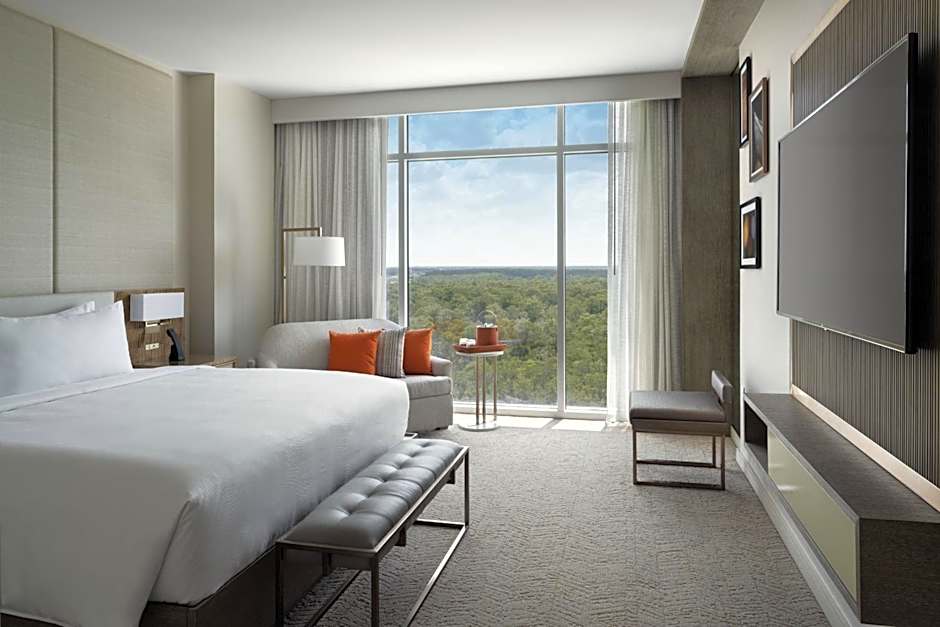 Photo 1 of 4 of Executive 1 Bedroom 1 King Bed with Sofabed Suite
